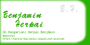 benjamin herpai business card
